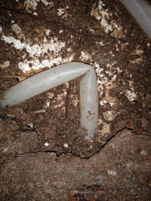 新野堵点精准查找